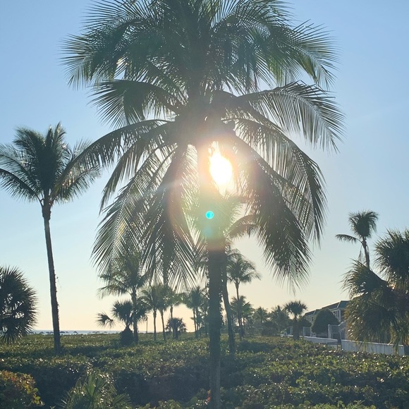 Meet your Posher, Anneliese - Picture 1 of 1